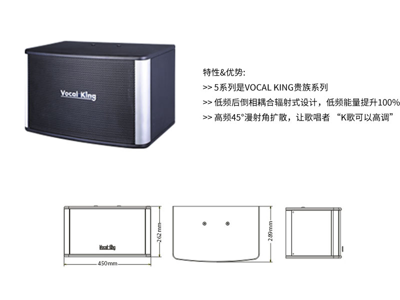 VS豪邁型夜總會KTV音箱